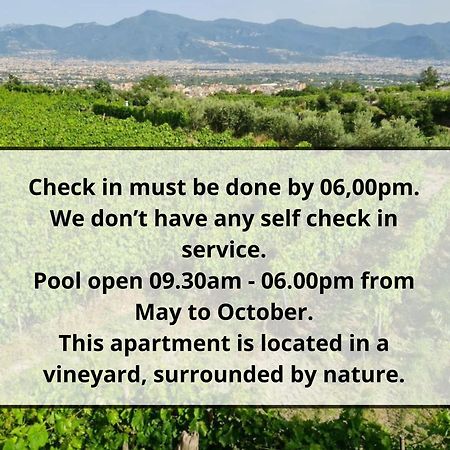 Vesuvio Inn Guest House E Wine Experience Boscotrecase Exterior foto