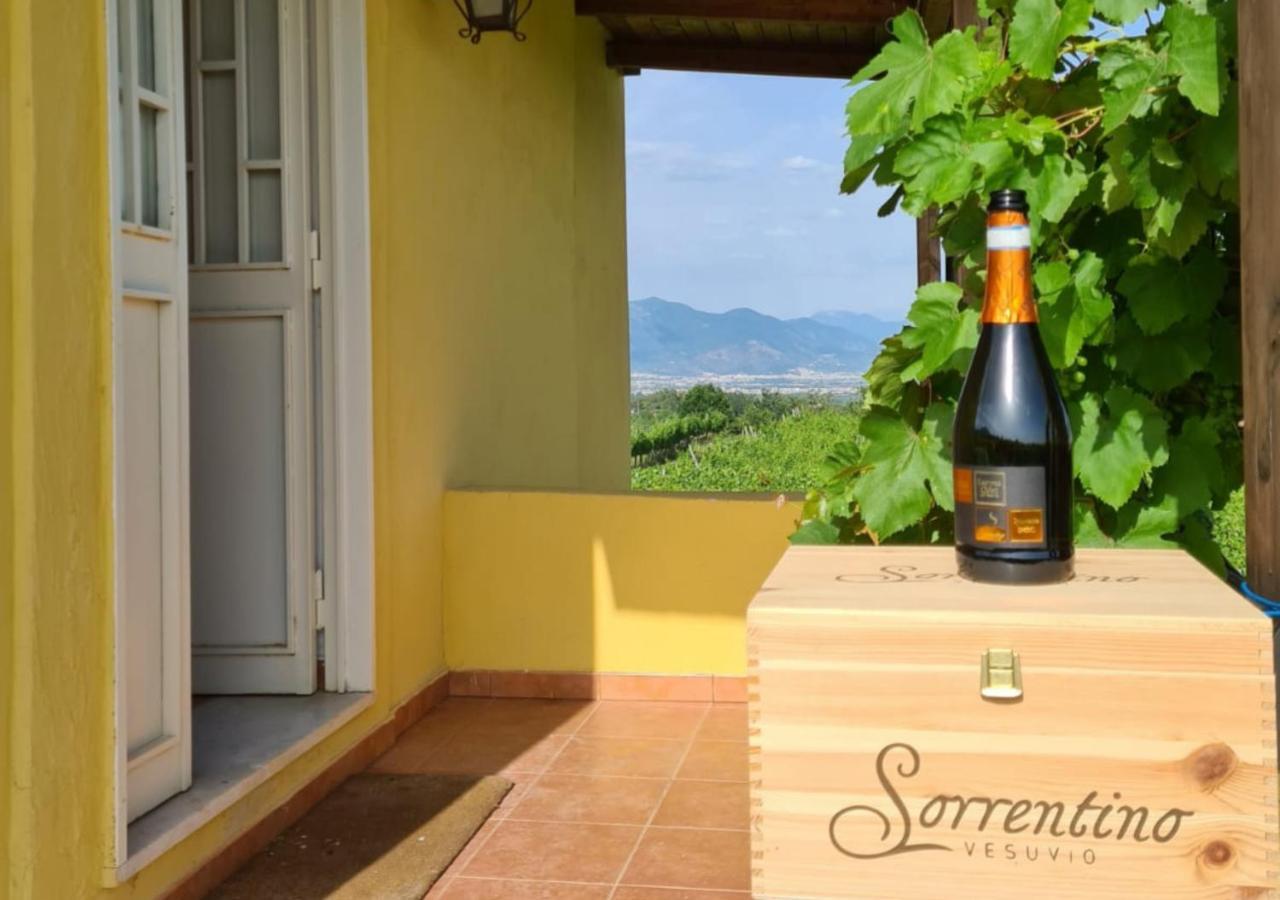 Vesuvio Inn Guest House E Wine Experience Boscotrecase Exterior foto