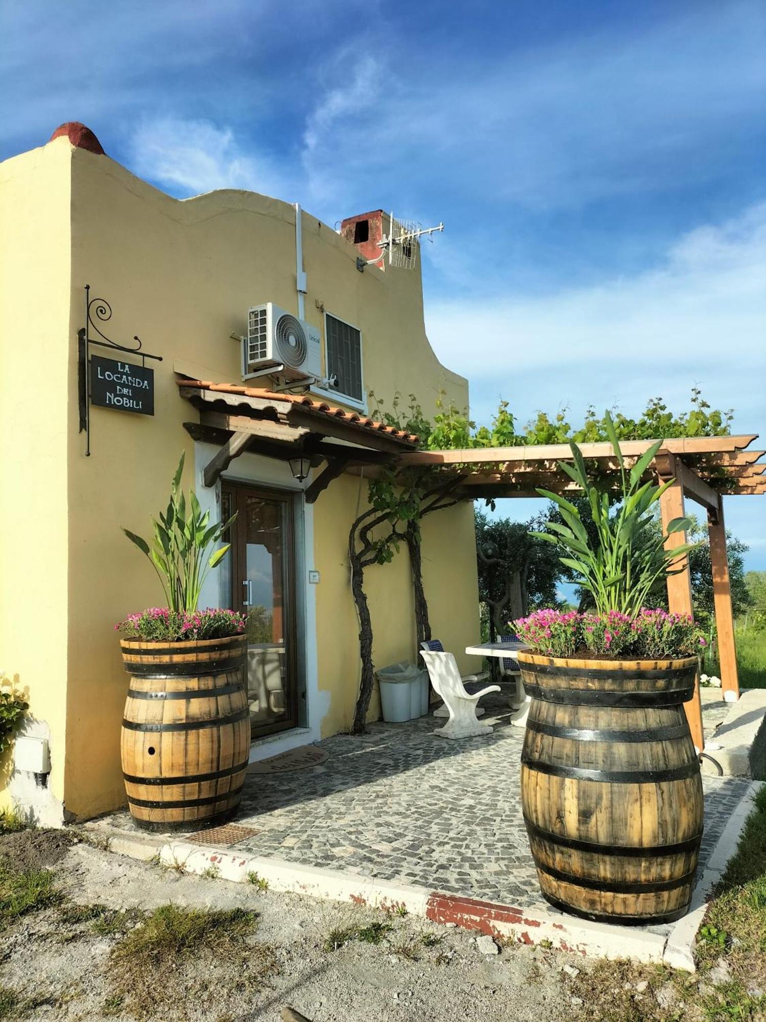 Vesuvio Inn Guest House E Wine Experience Boscotrecase Exterior foto
